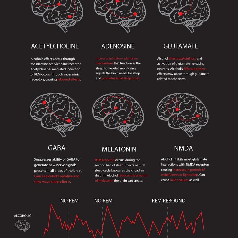 Science of sleep: infographic Science of sleep: infographic