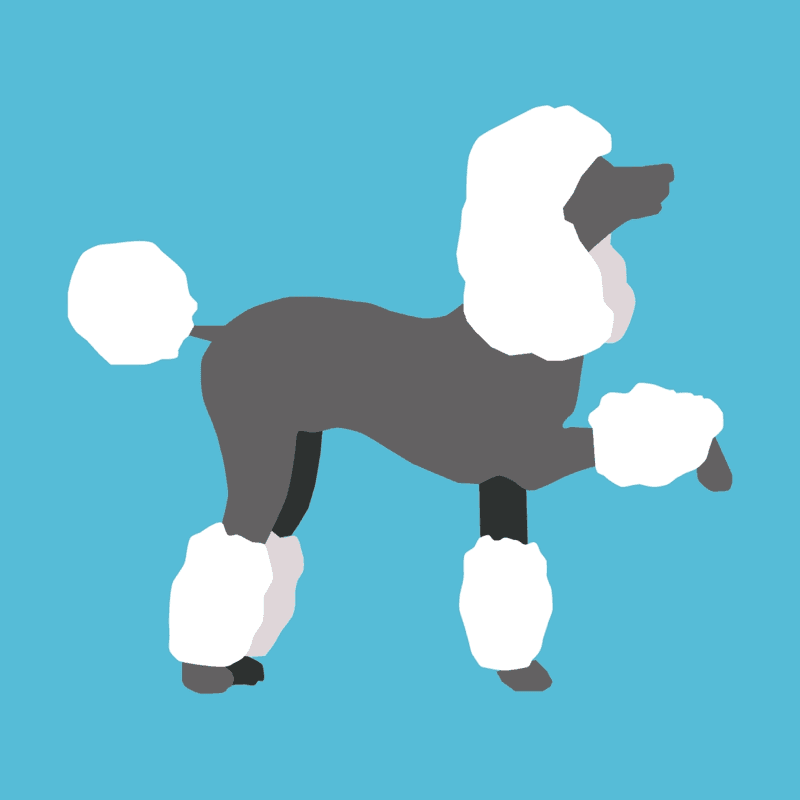 Zine: Dog Grooming Zine: Dog Grooming