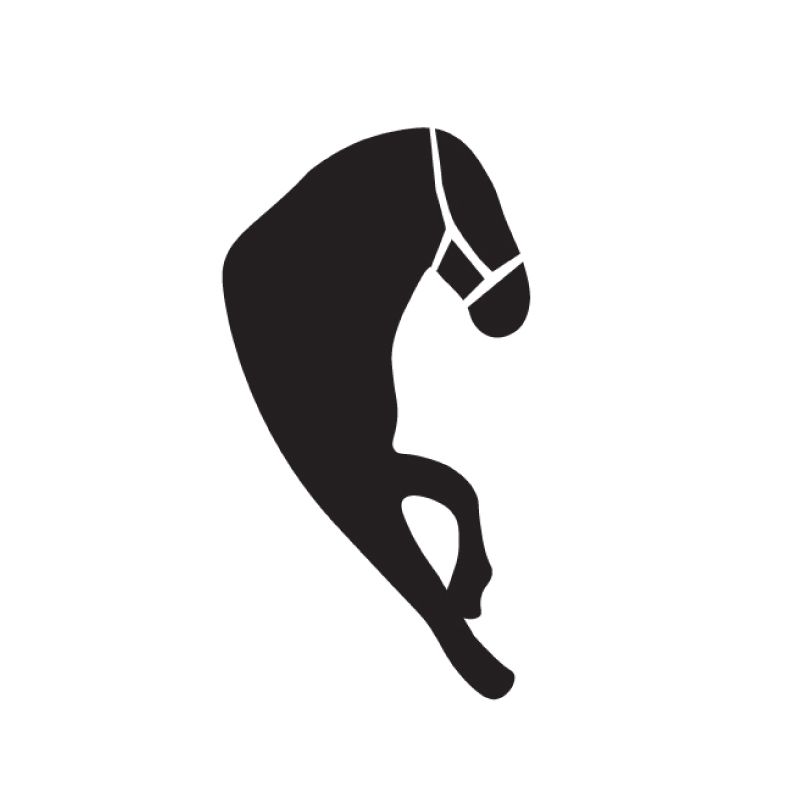 Zoo Pictograms Zoo Pictograms