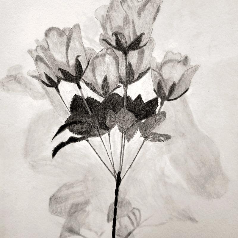 Isolated Object Isolated Object