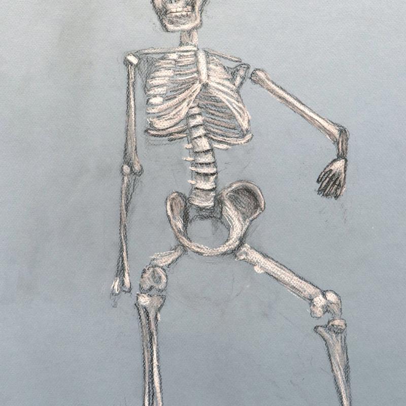 Skeleton Skeleton