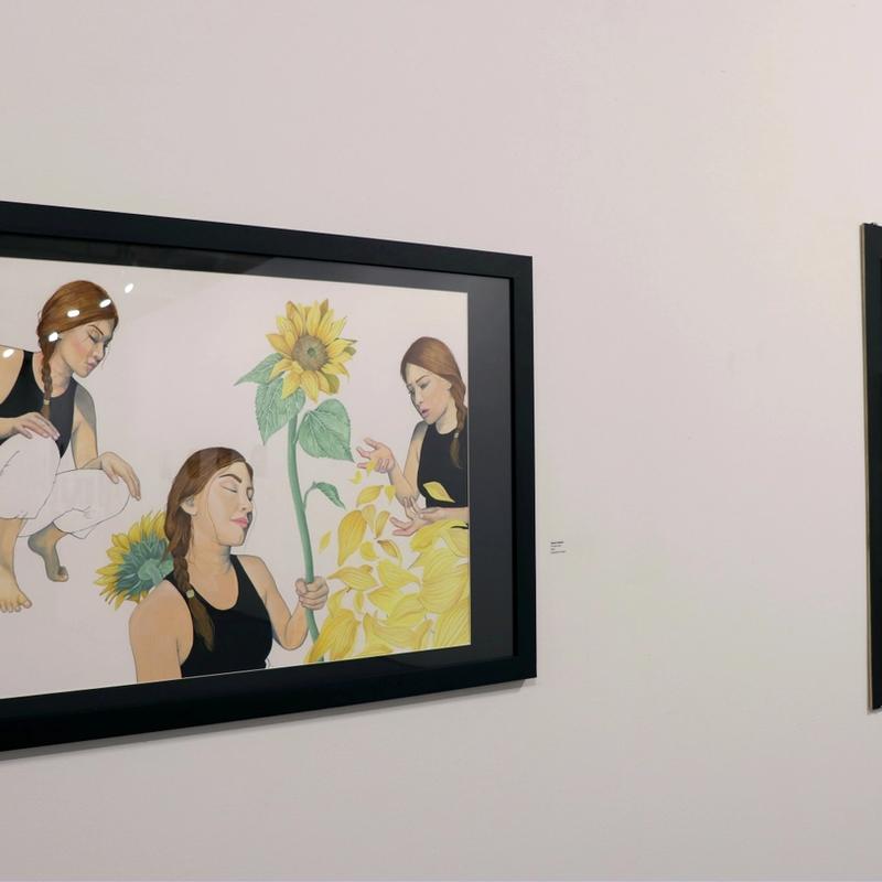 Sunflowers & False Perceptions Sunflowers & False Perceptions