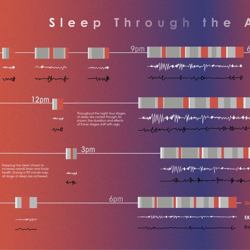 Sleep Through the Ages