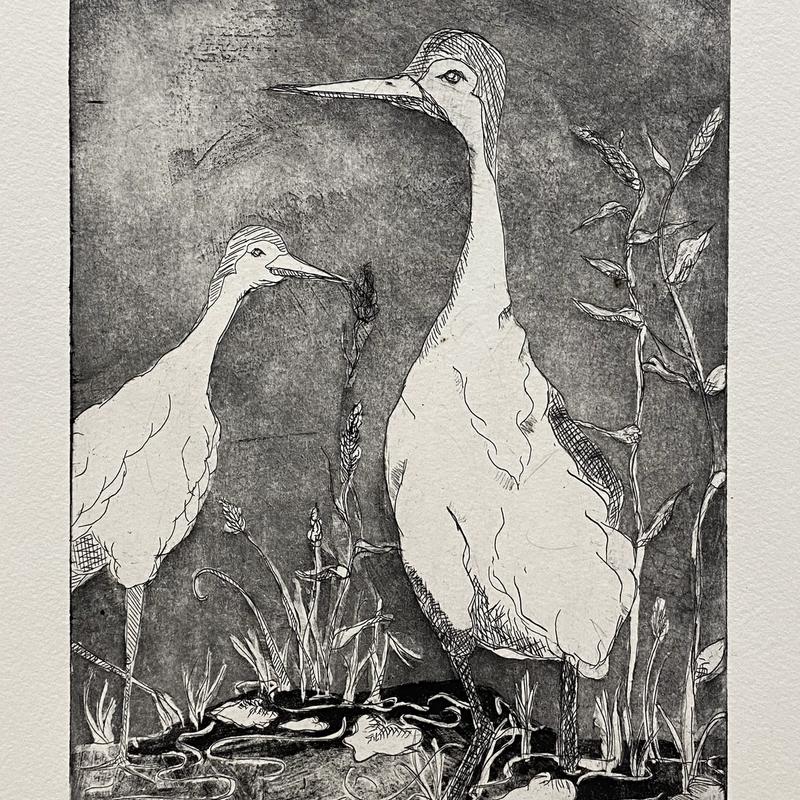 A Crane Whooped A Crane Whooped