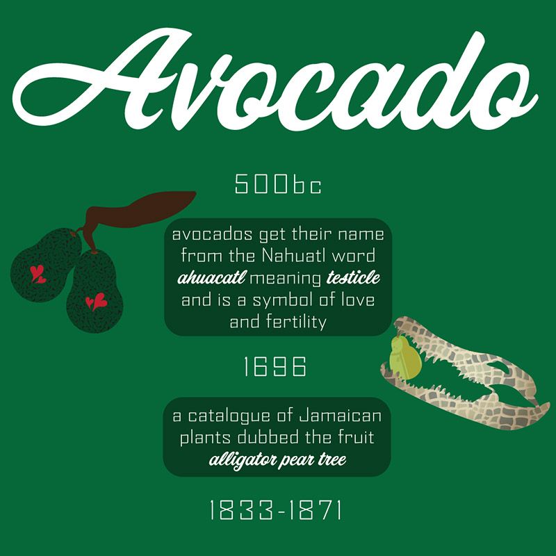 Avocado Timeline
