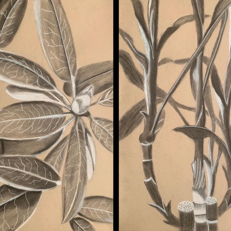 Plant Abstraction Plant Abstraction