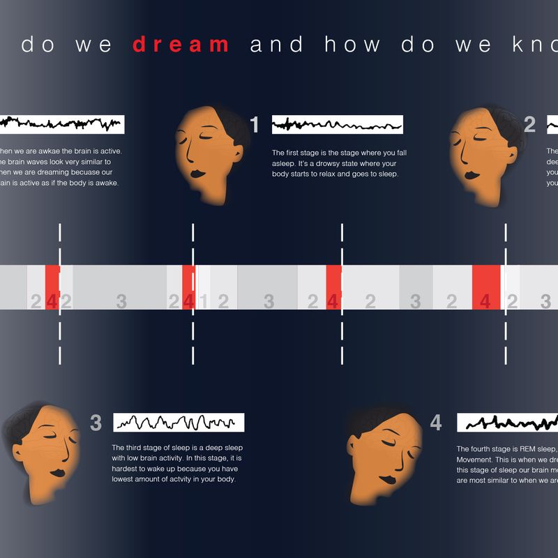 Science of sleep: infographic Science of sleep: infographic
