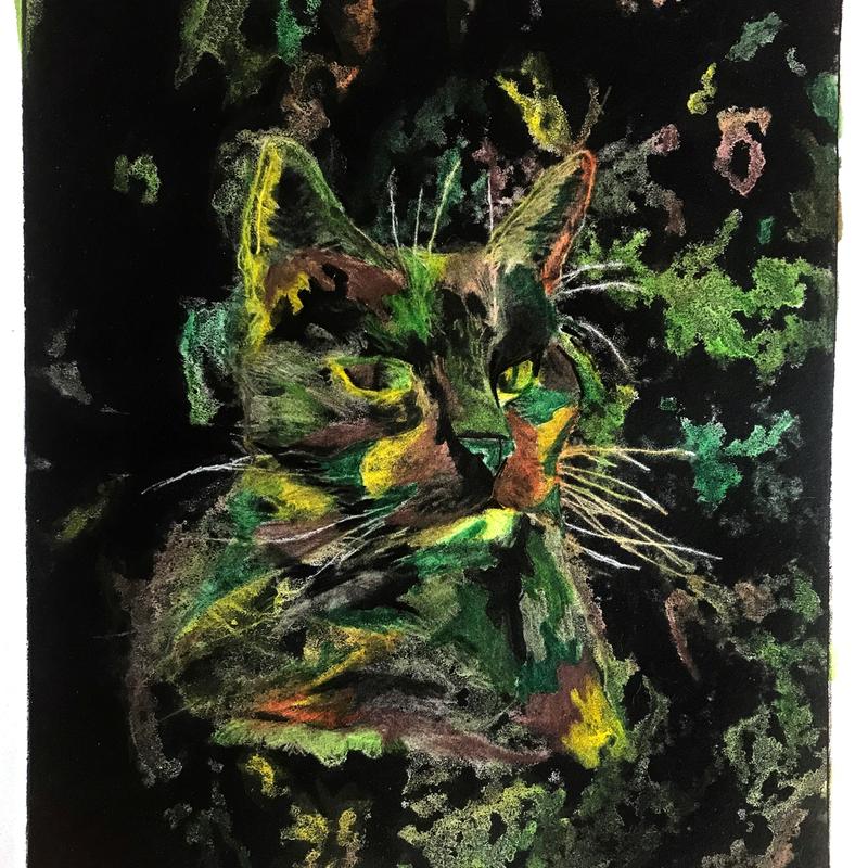 Camo Cat Camo Cat
