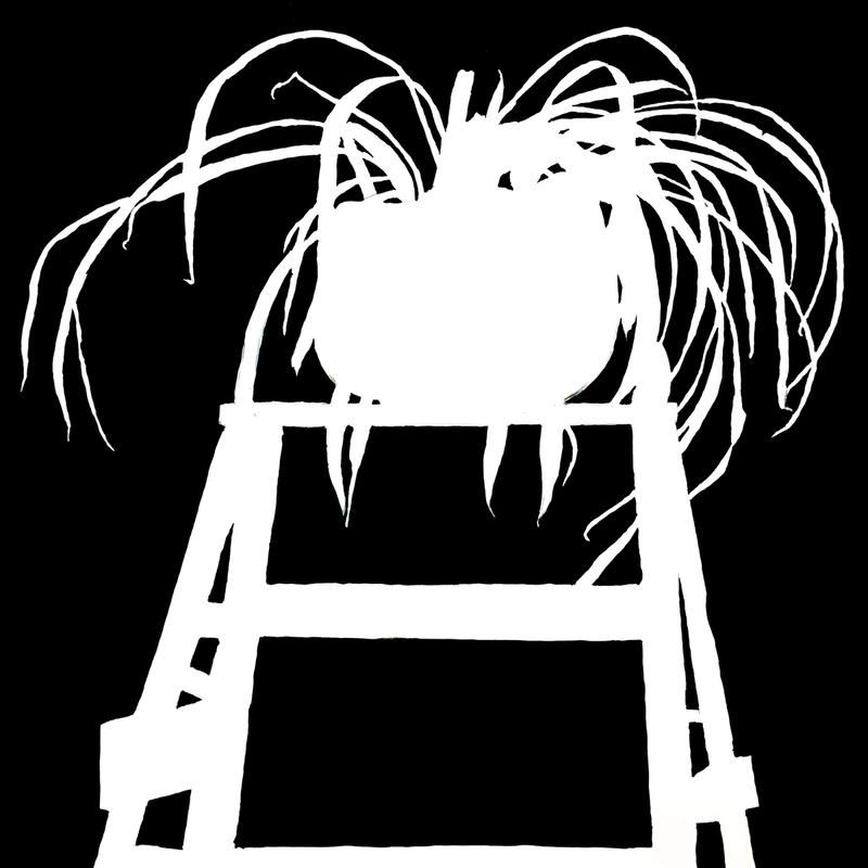 Negative Space Study Negative Space Study