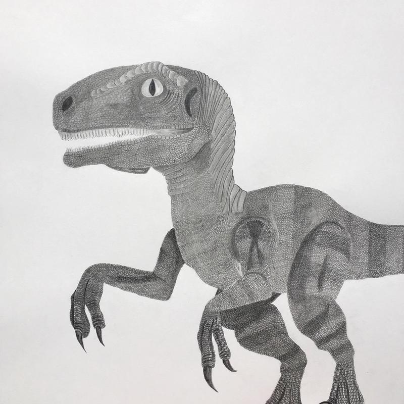 Velociraptor Velociraptor