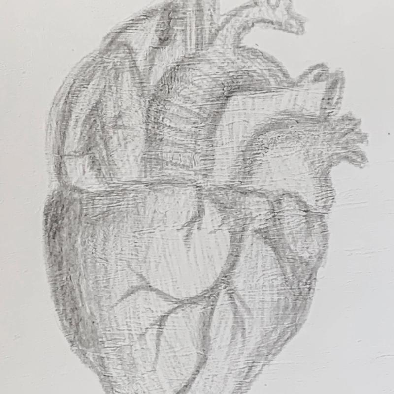 Oval Series - Heart