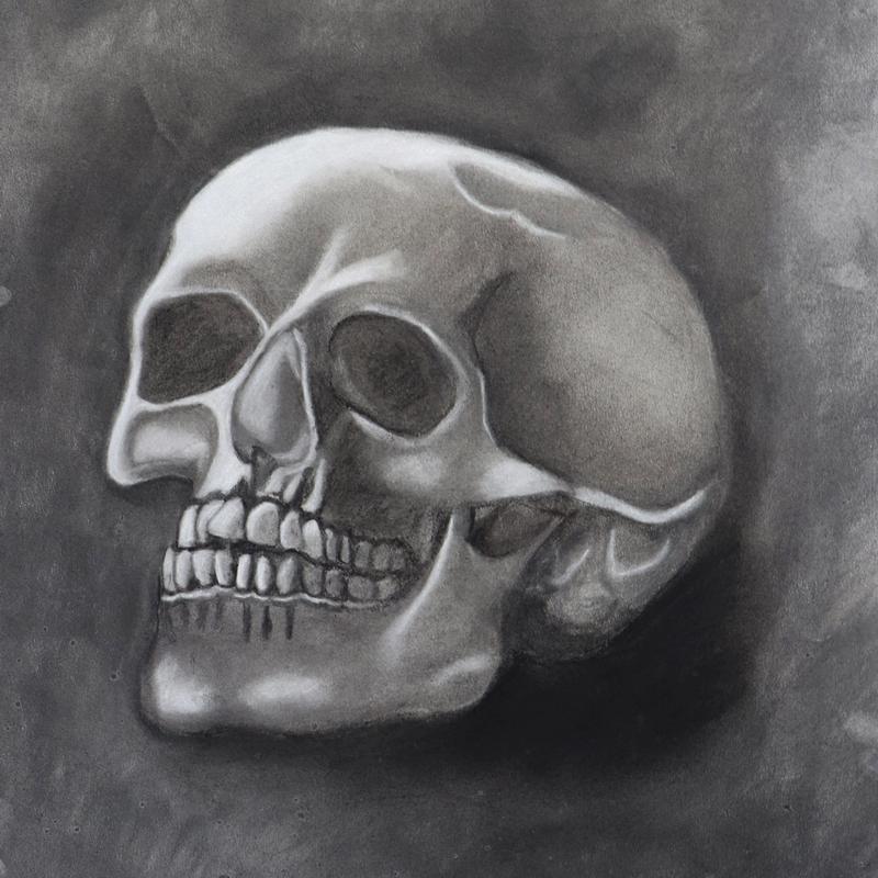 Skull Skull