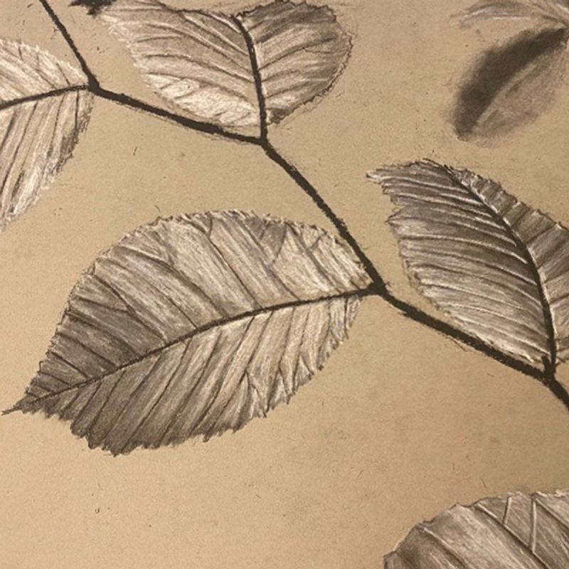 Plant Abstraction Plant Abstraction