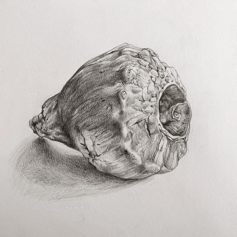 Isolated Object Isolated Object