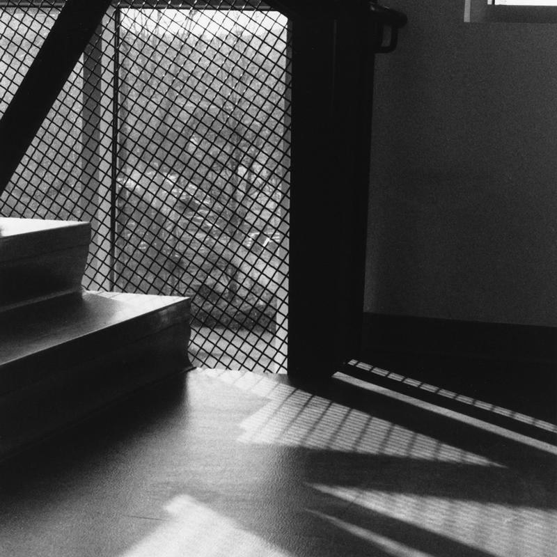 "Afternoon Shadow" "Afternoon Shadow"