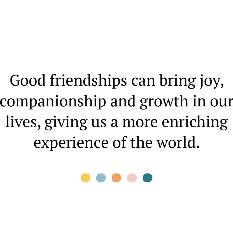 The Friendship Project