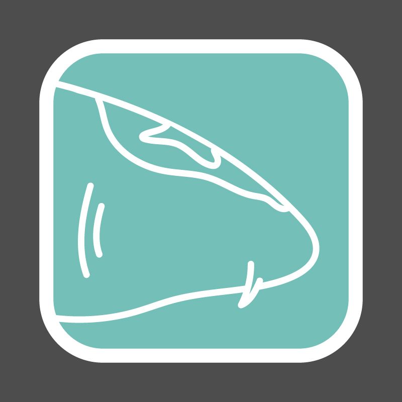 Zoo Pictograms Zoo Pictograms