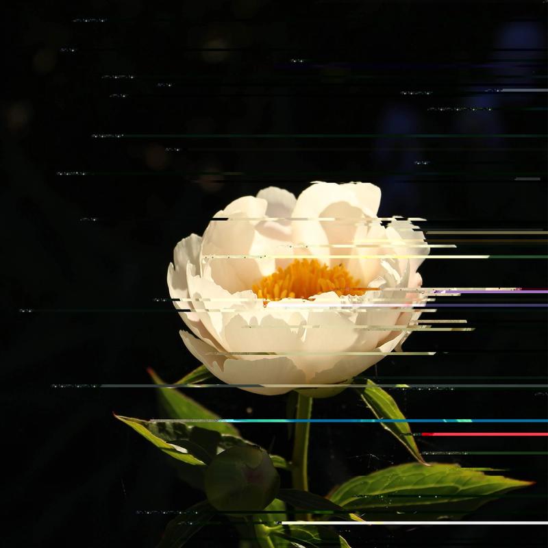 "A Glitch In Nature" "A Glitch In Nature"