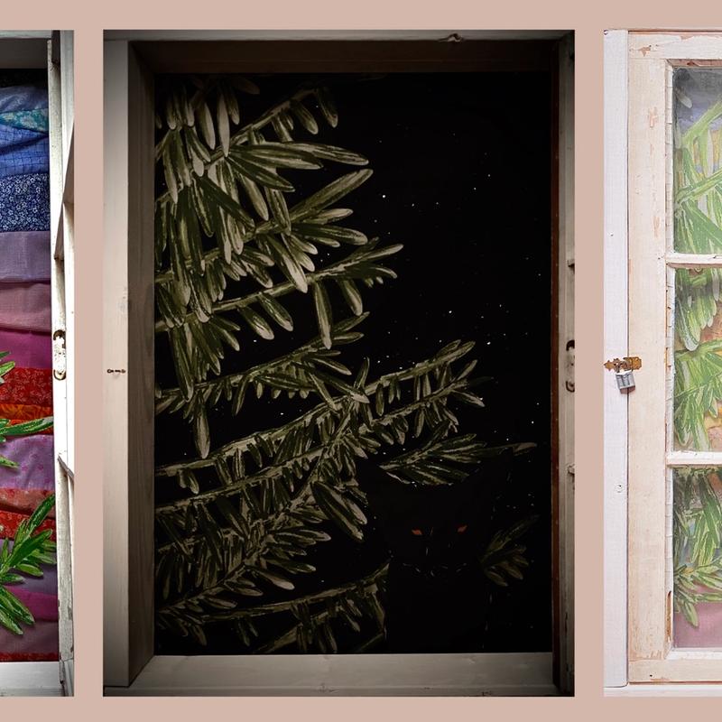 Look Whose Home Look Whose Home