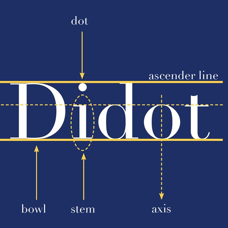 Didot Type Specimen