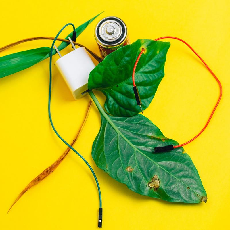 "Technological Destruction in Nature" "Technological Destruction in Nature"