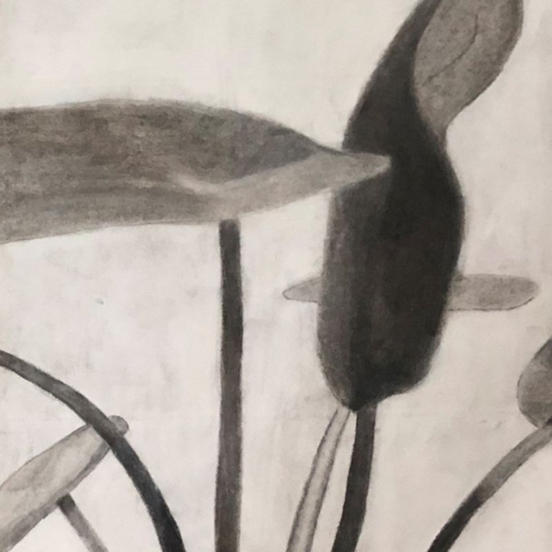 Twin Leaves Twin Leaves