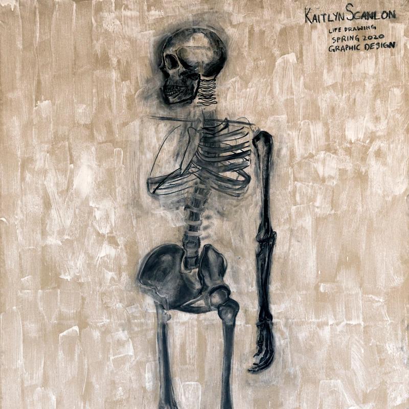 Skeleton Skeleton