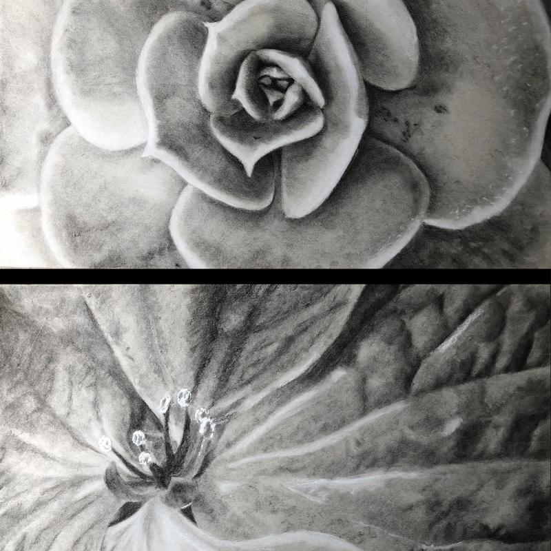 Abstracted Plants Abstracted Plants