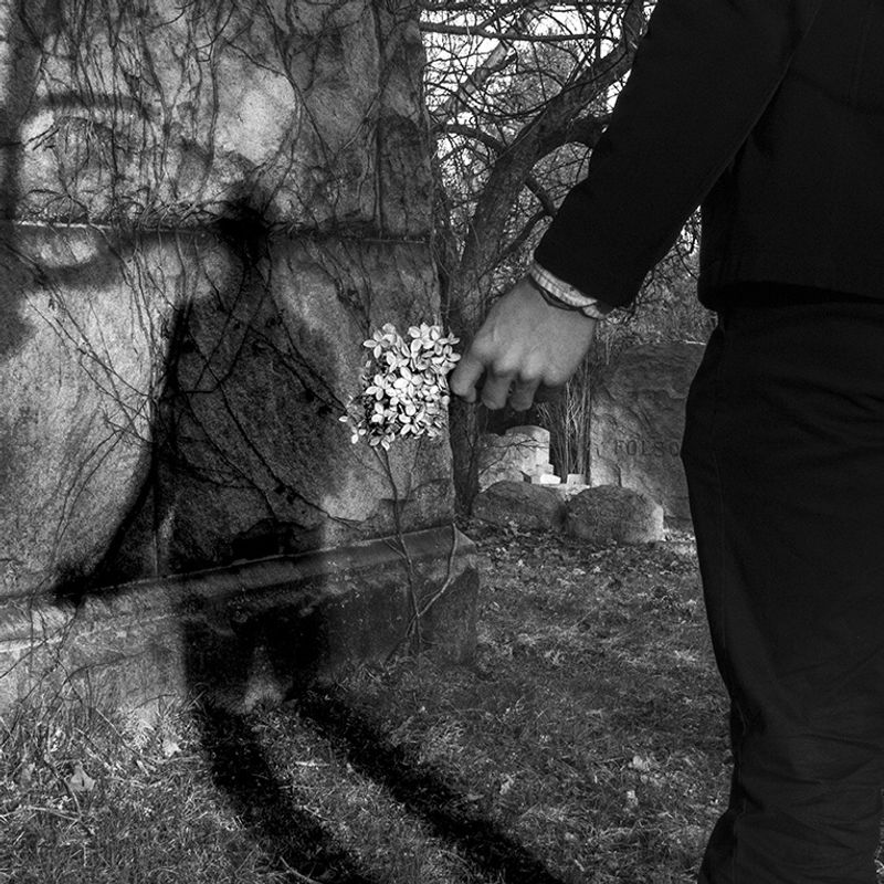 Shadows on Grave Shadows on Grave