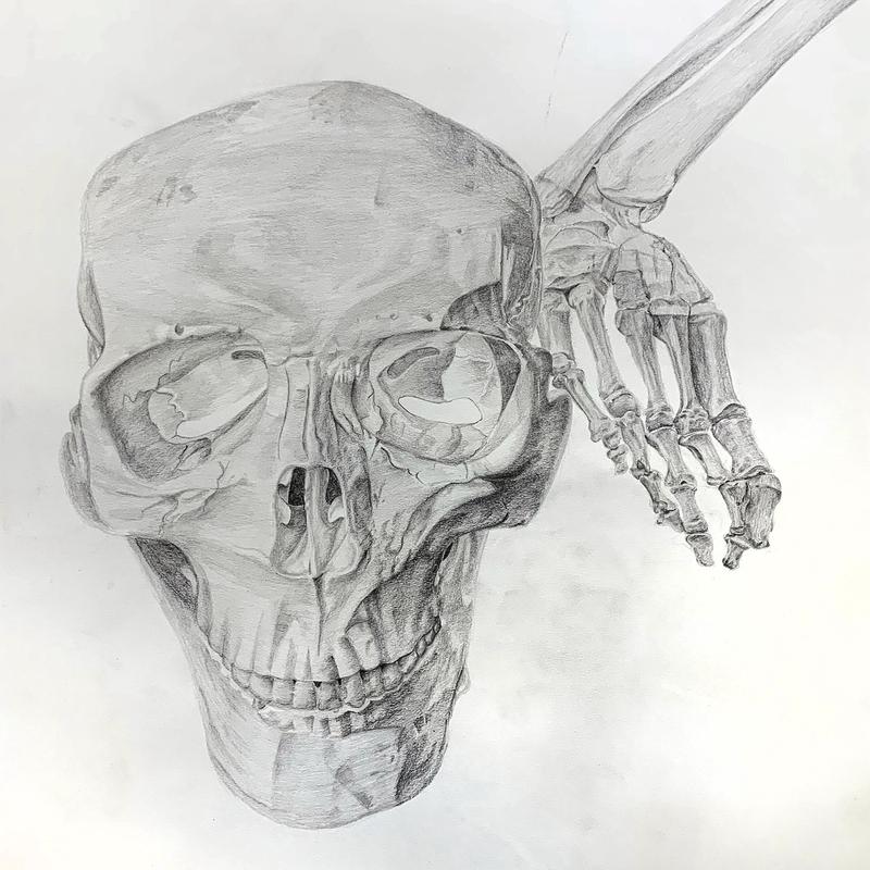 Anatomy Study Anatomy Study