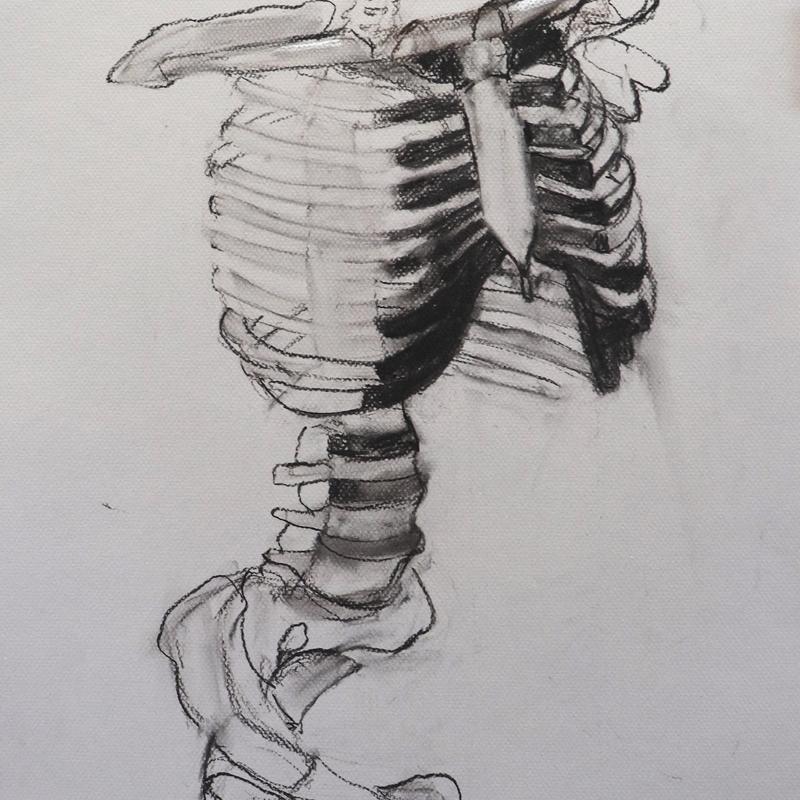 Skeleton Skeleton