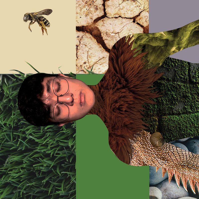 Digital Self Portrait Digital Self Portrait