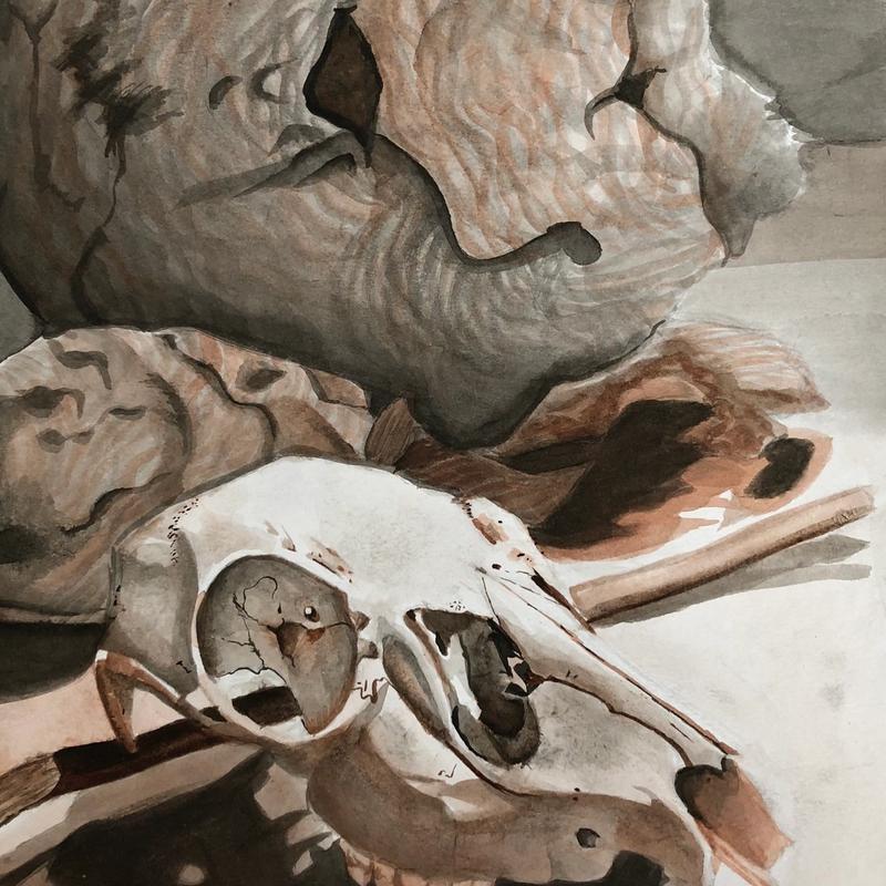 Still Life Still Life