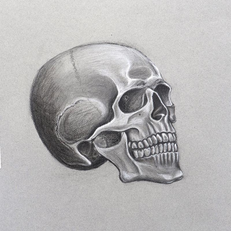 Skull Skull