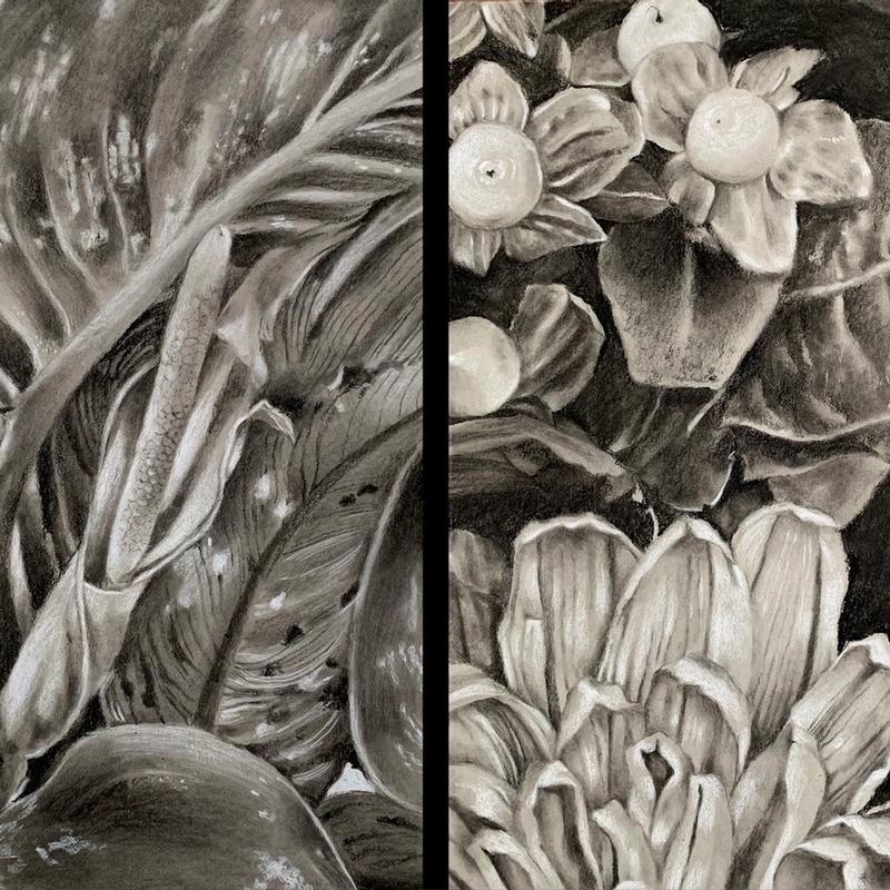 Abstracted Plants (diptych)