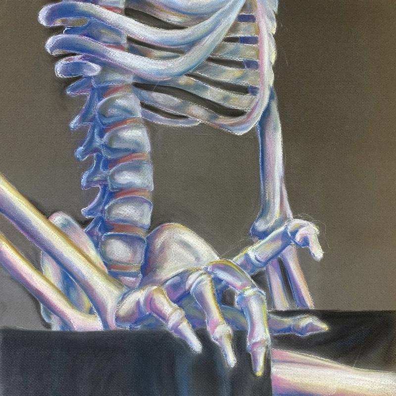 Anatomy Study Anatomy Study