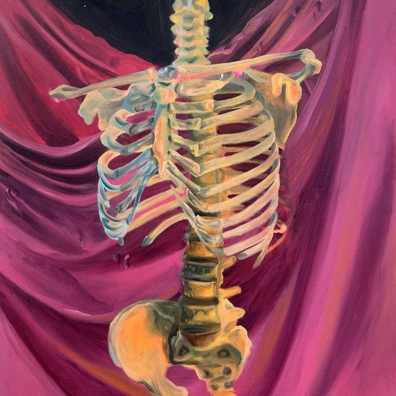 Skeleton Study Skeleton Study