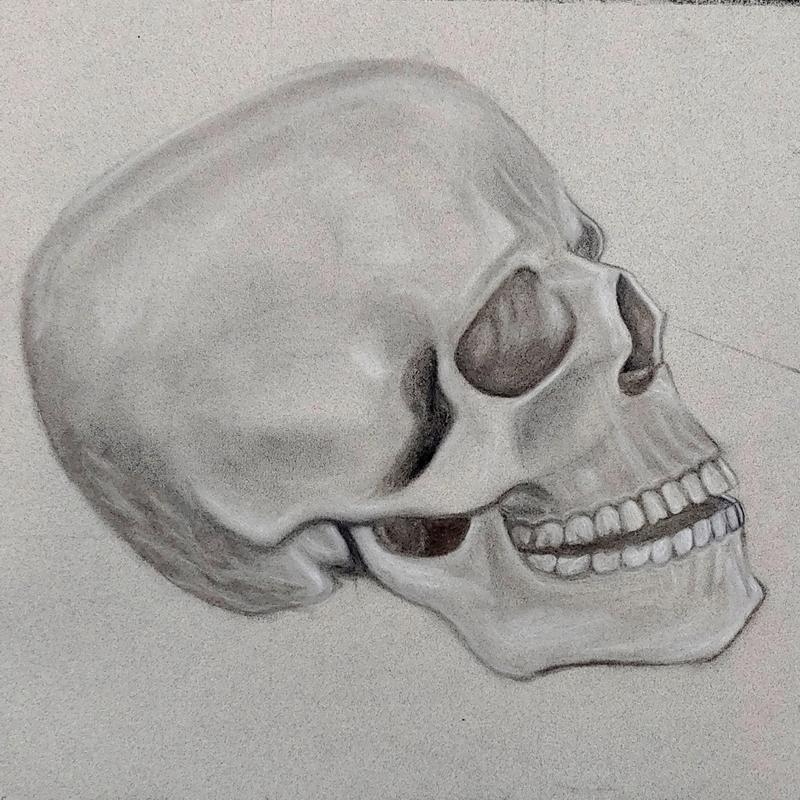 Skull Skull