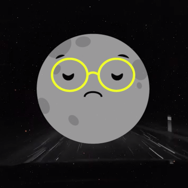 The Meaning of Life The Meaning of Life