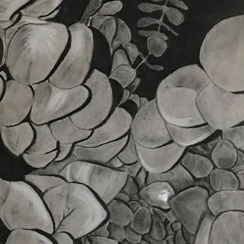 Plant Abstraction Plant Abstraction