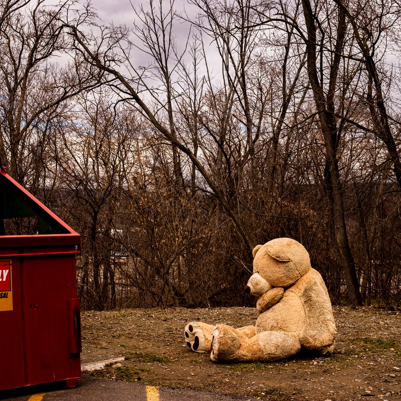 The Relationship of Abandonment The Relationship of Abandonment