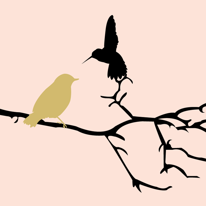 Zine: The Souls of Salem Zine: The Souls of Salem