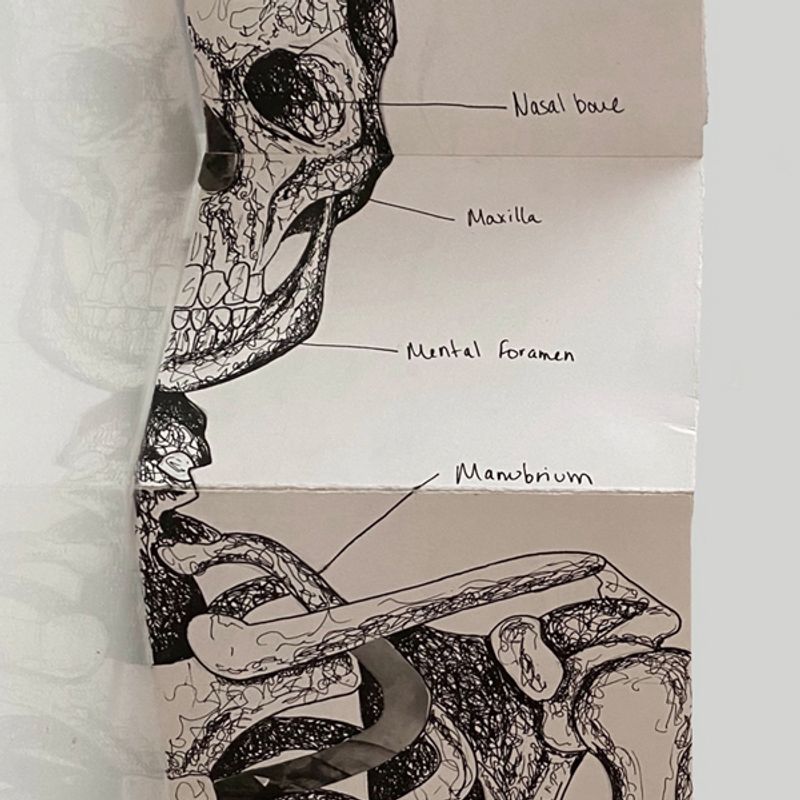 Eyes Closed Eyes Closed