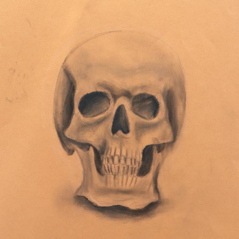 Skull Skull