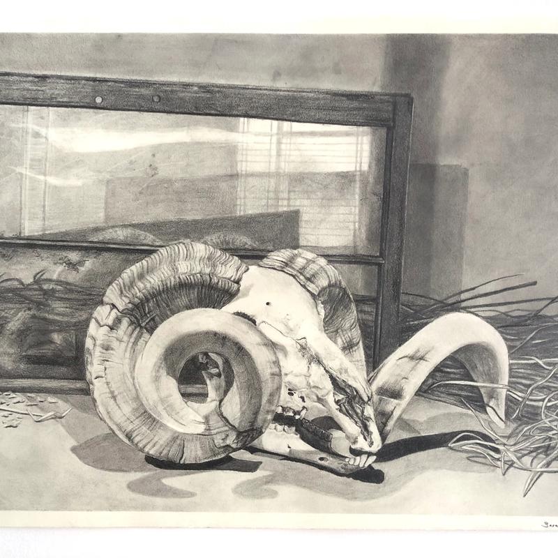 Still Life Still Life