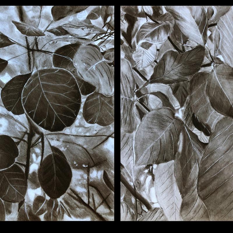 Abstracted Plants Abstracted Plants