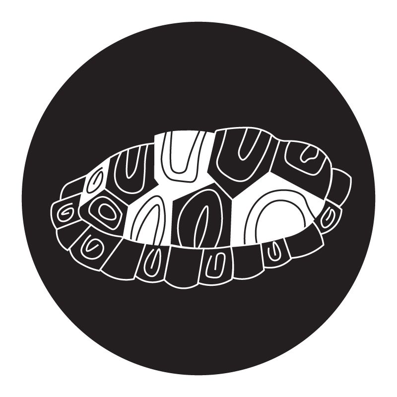 Zoo Pictograms Zoo Pictograms