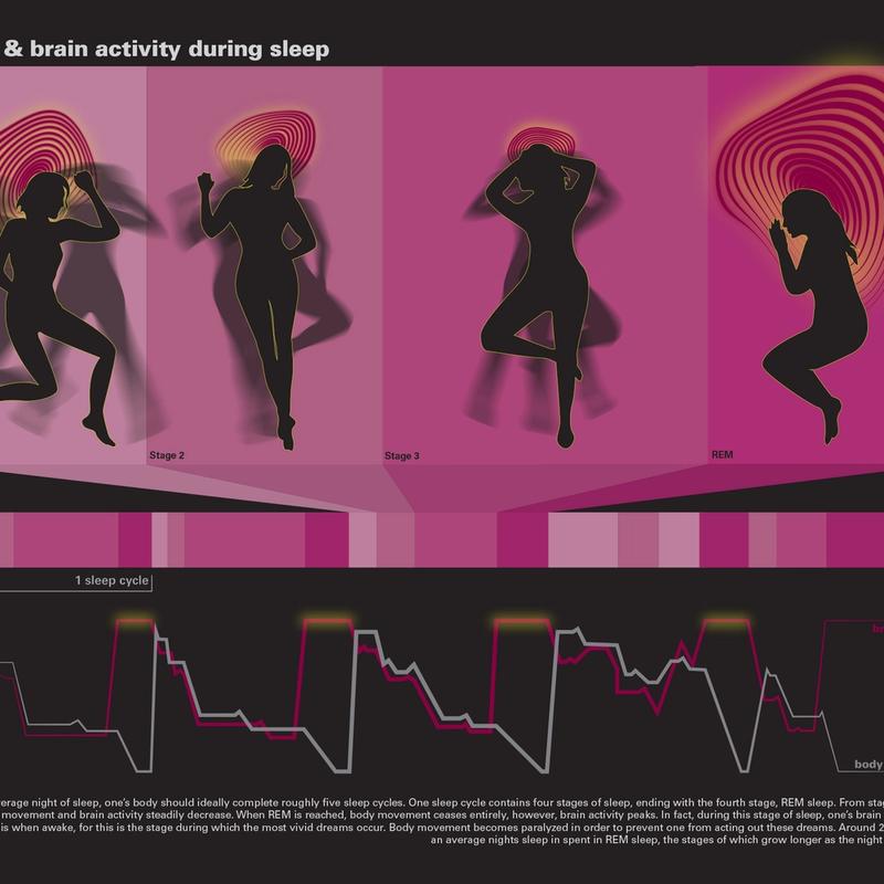 Science of sleep: infographic