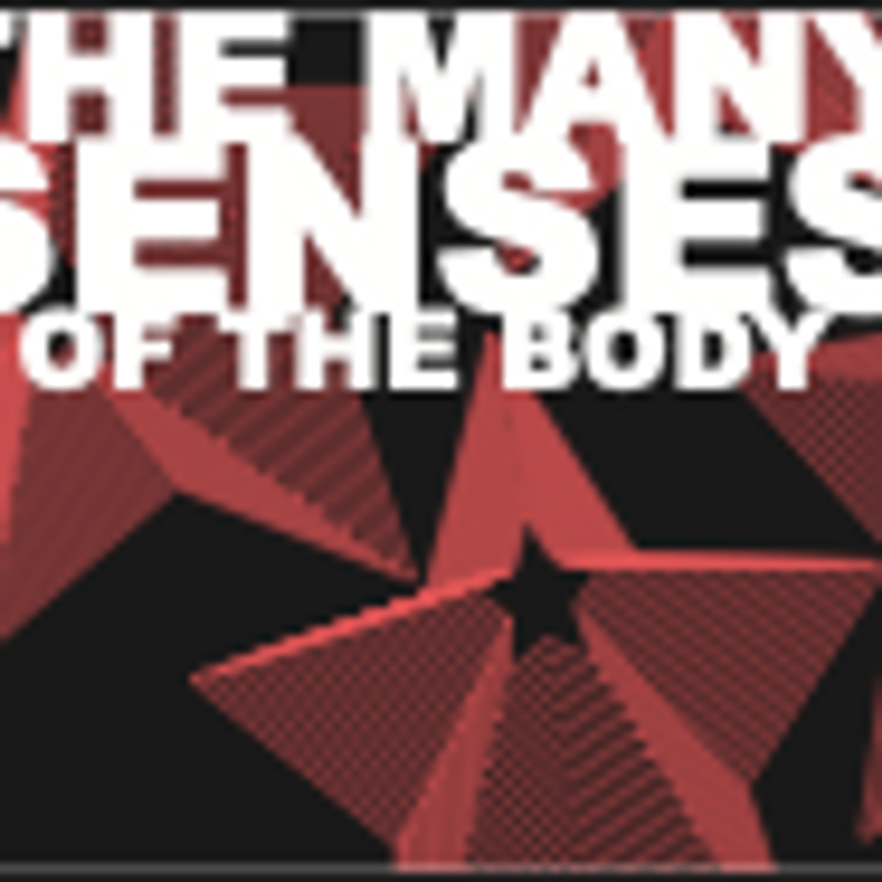 The Many Senses of the Body The Many Senses of the Body