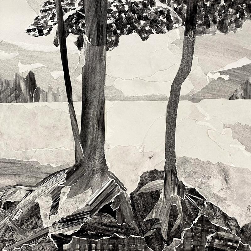 Landscape Collage Landscape Collage